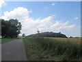 Road to Elmton from Whaley Common