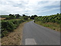 The lane to Castlemartin