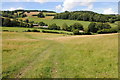 Farmland around Nant-yr-ych