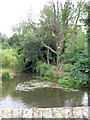 River Brett from the Hall Road Bridge