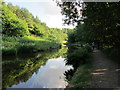 Reflections in the canal