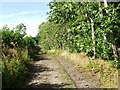 Bridleway near Livesey Street