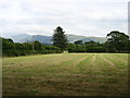 Fields east of Gosforth