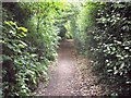 Greensand Way near Wotton