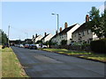 Cumberland Avenue, Shepway