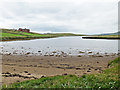 Beach at the head of Aith Voe