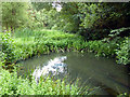 TQ2733 : Balancing pond, Tilgate Park by Robin Webster