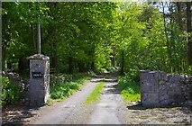 R8289 : End of the public road at Luska Pier, Co. Tipperary by P L Chadwick