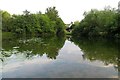 Bishopstone Pond