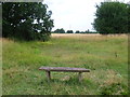 Tolworth Court Farm Fields