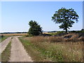 TM3386 : Lane  & footpath to Shadowbarn Farm by Geographer