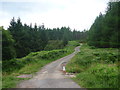 NT6967 : Rural East Lothian : County Boundary In The Monynut Forest by Richard West
