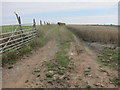 Farm track below High Bullen