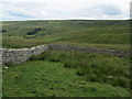 SD9580 : Corner of a Pasture at Bishopdale Head by Chris Heaton