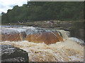 SE0188 : Tourists at Lower Force, Aysgarth Falls by Karl and Ali