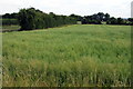 Farmland south of the A4280