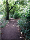 TL0750 : Footpath into the woods by Goldington Green by Philip Jeffrey
