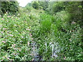 Hogsmill River near the confluence with the Bonesgate Stream