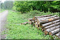 SU8186 : Log pile in Homefield Wood by Graham Horn