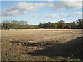 Stubble field near Grendon