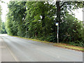 Allyington Way bus stop, Balcombe Road, Crawley