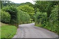 Willand : Country Lane