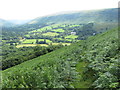 Footpath near Trwyn-tal