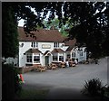 The George, Burpham