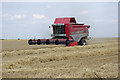SE9917 : Combining on Saxby Wolds by David Wright