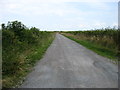 The track to Rogersceugh Farm