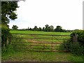 Fields west of Leicester Road