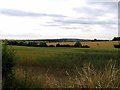 Fields south of Botney Hill Road