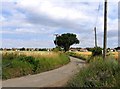 Springhouse Lane towards Corringham