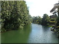 River Avon SE of a footbridge, Chippenham