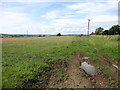 Fields at Gill Field Farm