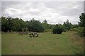 Picnic Spot in Linnets Wood