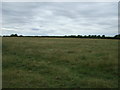 Farmland near Reeds Beck