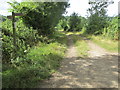 Fingerpost at footpath junction