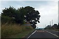 A5 (Watling Street) entering Crackleybank