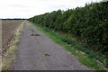 John Bunyan Trail towards Elstow