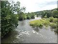 River Towy / Afon Tywi at Llandilo-yr-ynys