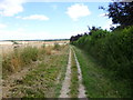 Harestock, footpath