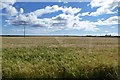 Farmland near Seaton