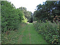 Bridleway to Duck End Farm, Lindsell