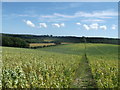 Footpath to Watts Palace Lane