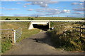 Bridleway under the A421