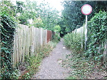 TQ7456 : Giddyhorn Lane, Maidstone by Chris Whippet