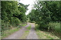 Walton-on-the-Hill:  Footpath off Love Lane