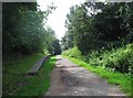 South Staffordshire Railway Walk - platform of former Wombourne Station, Wombourne, Staffs