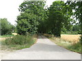 Footpath and driveway to Buckinghill Farm